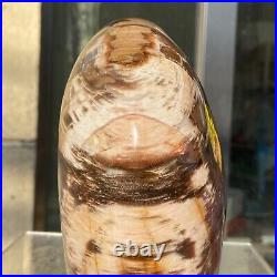 2380g Natural Fossil Petrified Wood Polished Freeform Crystal Mineral Healing