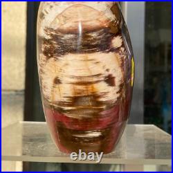 2380g Natural Fossil Petrified Wood Polished Freeform Crystal Mineral Healing