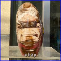 2380g Natural Fossil Petrified Wood Polished Freeform Crystal Mineral Healing