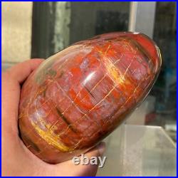 2380g Natural Fossil Petrified Wood Polished Freeform Crystal Mineral Healing