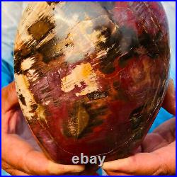 2390g Natural Red Petrified Wood Crystal Fossil Landscape Specimen Reiki Healing