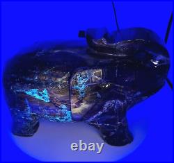 23LB 6oz Petrified Wood Elephant Statue Hand Carved Feng Shui UV Fluorescent 23LB 6oz Petrified Wood Elephant Statue Hand Carved Feng Shui UV Fluorescent