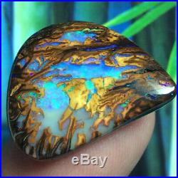 23.10ct GORGEOUS Australian Boulder Opal WOOD Fossil Petrified Wood Replacement