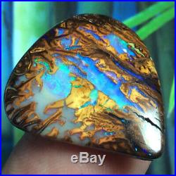 23.10ct GORGEOUS Australian Boulder Opal WOOD Fossil Petrified Wood Replacement
