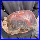 23_2lb_Rare_Natural_petrified_wood_rough_Wood_fossil_mineral_specimen_healing_01_av