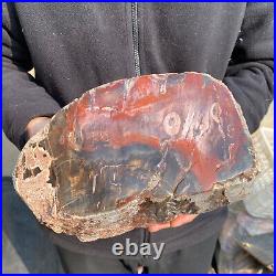 23.2lb Rare Natural petrified wood rough Wood fossil mineral specimen healing 23.2lb Rare Natural petrified wood rough Wood fossil mineral specimen healing