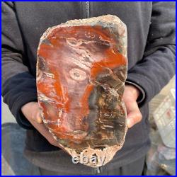 23.2lb Rare Natural petrified wood rough Wood fossil mineral specimen healing 23.2lb Rare Natural petrified wood rough Wood fossil mineral specimen healing