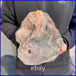 23.2lb Rare Natural petrified wood rough Wood fossil mineral specimen healing 23.2lb Rare Natural petrified wood rough Wood fossil mineral specimen healing