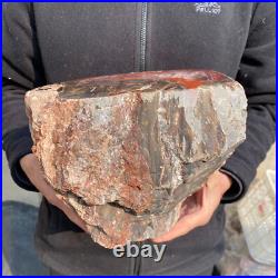 23.2lb Rare Natural petrified wood rough Wood fossil mineral specimen healing 23.2lb Rare Natural petrified wood rough Wood fossil mineral specimen healing