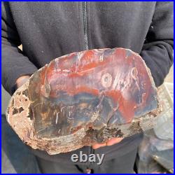23.2lb Rare Natural petrified wood rough Wood fossil mineral specimen healing 23.2lb Rare Natural petrified wood rough Wood fossil mineral specimen healing