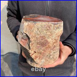 23.2lb Rare Natural petrified wood rough Wood fossil mineral specimen healing 23.2lb Rare Natural petrified wood rough Wood fossil mineral specimen healing