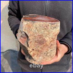 23.2lb Rare Natural petrified wood rough Wood fossil mineral specimen healing 23.2lb Rare Natural petrified wood rough Wood fossil mineral specimen healing