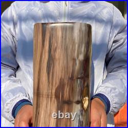 23.63LB Large Natural Petrified Wood Fossil Crystal Mineral Specimen Healing 23.63LB Large Natural Petrified Wood Fossil Crystal Mineral Specimen Healing