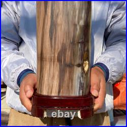 23.63LB Large Natural Petrified Wood Fossil Crystal Mineral Specimen Healing 23.63LB Large Natural Petrified Wood Fossil Crystal Mineral Specimen Healing