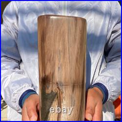 23.63LB Large Natural Petrified Wood Fossil Crystal Mineral Specimen Healing 23.63LB Large Natural Petrified Wood Fossil Crystal Mineral Specimen Healing