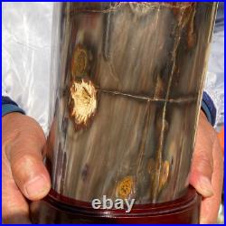 23.63LB Large Natural Petrified Wood Fossil Crystal Mineral Specimen Healing 23.63LB Large Natural Petrified Wood Fossil Crystal Mineral Specimen Healing