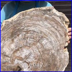 23.71LB Natural Petrified Wood Fossil Crystal Polished Slice Madagascar 2585