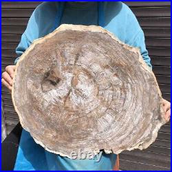 23.71LB Natural Petrified Wood Fossil Crystal Polished Slice Madagascar 2585