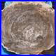 23_7LB_Natural_Petrified_Wood_Fossil_Crystal_Polished_Slices_Healing_HH38_01_amwh