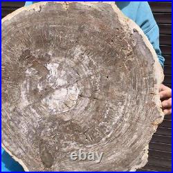 23.7LB Natural petrified wood fossil crystal polished slice Madagascar38