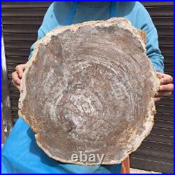 23.7LB Natural petrified wood fossil crystal polished slice Madagascar38