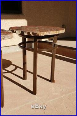 23 Large Gem Quality Petrified Wood Matching End Tables Arizona Paulcell Ranch