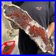 23lb_Rare_Natural_petrified_wood_rough_Wood_fossil_mineral_specimen_healing_01_bl