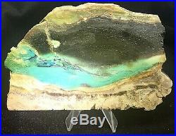 244.6g Indonesian Blue Opalized Petrified Wood Rough Slab 129.6 x 85.8 x 13.4 mm