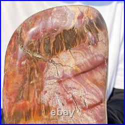 2480g Natural Fossil Petrified Wood Polished Freeform Crystal Mineral Healing
