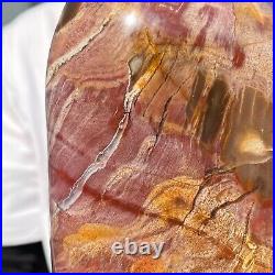 2480g Natural Fossil Petrified Wood Polished Freeform Crystal Mineral Healing