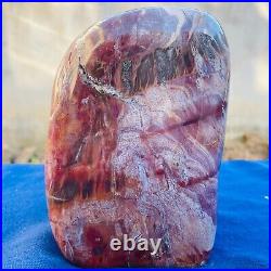 2491g Large Natural Petrified Wood Fossil Crystal Specimens Stone Reiki Healing