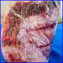 2491g Large Natural Petrified Wood Fossil Crystal Specimens Stone Reiki Healing
