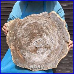 24.2LB Natural petrified wood fossil crystal polished slice Madagascar 36