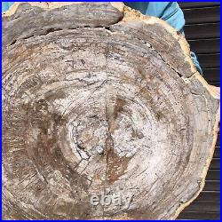 24.2LB Natural petrified wood fossil crystal polished slice Madagascar 36