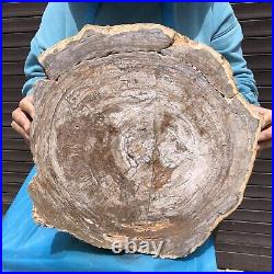 24.2LB Natural petrified wood fossil crystal polished slice Madagascar 36