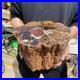 24_3lb_Rare_Natural_petrified_wood_rough_Wood_fossil_mineral_specimen_healing_01_fkpj