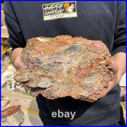 24.3lb Rare Natural petrified wood rough Wood fossil mineral specimen healing 24.3lb Rare Natural petrified wood rough Wood fossil mineral specimen healing