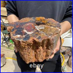 24.3lb Rare Natural petrified wood rough Wood fossil mineral specimen healing 24.3lb Rare Natural petrified wood rough Wood fossil mineral specimen healing