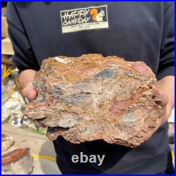 24.3lb Rare Natural petrified wood rough Wood fossil mineral specimen healing 24.3lb Rare Natural petrified wood rough Wood fossil mineral specimen healing