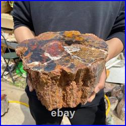 24.3lb Rare Natural petrified wood rough Wood fossil mineral specimen healing 24.3lb Rare Natural petrified wood rough Wood fossil mineral specimen healing