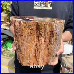 24.3lb Rare Natural petrified wood rough Wood fossil mineral specimen healing 24.3lb Rare Natural petrified wood rough Wood fossil mineral specimen healing