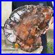 24_6lb_Rare_Natural_Red_petrified_wood_rough_Wood_fossil_mineral_specimen_healin_01_tyq