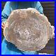 24_79LB_Natural_Petrified_Wood_Fossil_Crystal_Polished_Slice_Madagascar_43_01_bdez