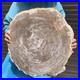 24_79LB_Natural_Petrified_Wood_Fossil_Crystal_Polished_Slices_Healing_HH43_01_uo