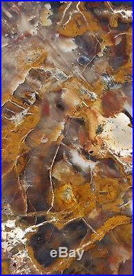 24 Gem Quality Fossil Petrified Wood Round Arizona Chinle Red Bronze #2