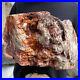 24lb_Rare_Natural_petrified_wood_rough_Wood_fossil_mineral_specimen_healing_01_epsx