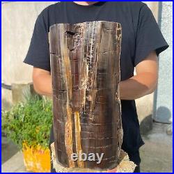 24lb Rare Natural petrified wood rough Wood fossil mineral specimen healing 24lb Rare Natural petrified wood rough Wood fossil mineral specimen healing