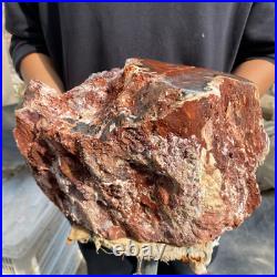 24lb Rare Natural petrified wood rough Wood fossil mineral specimen healing 24lb Rare Natural petrified wood rough Wood fossil mineral specimen healing