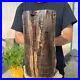 24lb_Rare_Natural_petrified_wood_rough_Wood_fossil_mineral_specimen_healing_01_tv