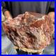 24lb_Rare_Natural_petrified_wood_rough_Wood_fossil_mineral_specimen_healing_01_xjz